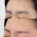 로로브로우바