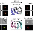 포식 의계신문