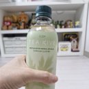 🍵 난소물혹 때문에 챙겨본 차! 티카이브 인진쑥차 후기 😆💚