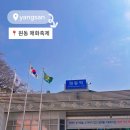 장터풍경 | 양산 원동매화축제 다녀온 후기: 순매원 풍경 + 장터 먹거리, 매화 개화 상태