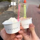 초당짬뽕순두부 이미지