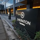 3&4호텔 | 2025.12.23 가고시마 쉐라톤 호텔 3박4일 후기