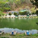 마지농원 이미지