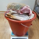 정직한흑염소 이미지