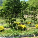 황금농장2 이미지