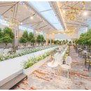 로얄파크 이미지