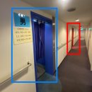 카멜리아 이미지