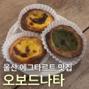 [울산 에그타르트 맛집] '오보드나타' 후기 | 내돈내산