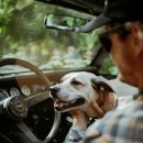 강아지,반하다 이미지