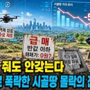 공짜로 줘도 안 가져간다… 반값으로 폭락한 “시골땅 몰락”의 진짜 이유 이미지
