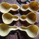 두손농장 이미지