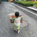 신한은행 뒷길 | Jun #2 여행과 여행사이