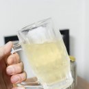 플레인짐 | 짐 빔 하이볼 플레인 캔 마셔본 후기 이마트 할인 상품