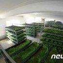 대안목장 이미지