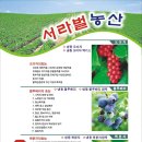 서라벌 Daum카페