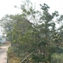 횃불농장 이미지