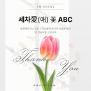 저렴한 양산손세차장 ABC스팀세차 양산물금점 꼼꼼 후기