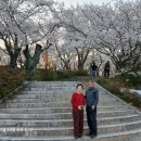 해안산업로 이미지