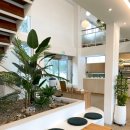 일루아 카페 이미지