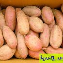 Re:GAP인증 받은 익산 황토 고구마 50% 맛보기 당첨자발표 이미지