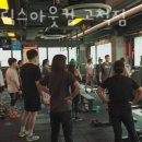 패트릭스
