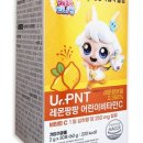 캐치팡팡 이미지