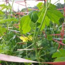 선유농장 이미지