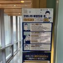 심유진이비인후과의원 | 판교신속항원검사 심유진이비인후과