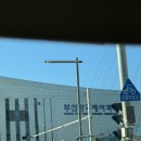 가까운 일본 대마도 여름 휴가 시작 - 부산 국제항 정보 / 주차 / 대마도 배편 팬스타 / 티에프투어 후기