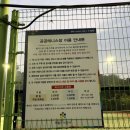 의왕테니스장 | 의왕 내손테니스장 예약, 주차, 코트 후기