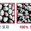 뉴스킨 레이뉴
