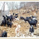 종인목장 이미지