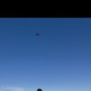 퐁낭아래 1978 이미지