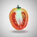 치매예방 인지케어 두뇌운동 이미지