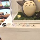 마리모