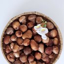 대나무골농장 이미지