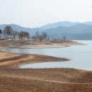 성동초교 이미지