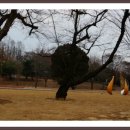 전남대정문 이미지