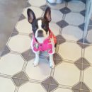 밴스동물병원 이미지