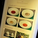 독 | 비발디파크 소노펫 애견동반 조식 및 띵킹독 후기