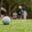 대지스크린골프 이미지