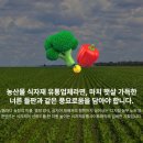 창조식자재유통 이미지