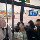 2229 | 대한항공 상하이 기내식 후기, KE2229편 부산출발 경험담