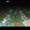 안고랑농장 이미지