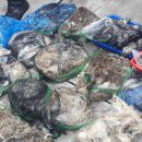 선단체육문화센터 이미지