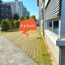 장기황어체육관 이미지