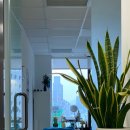 목화약국 | 2026 1/4 분기 홍콩 나날들