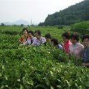 산야초체험관민박 이미지