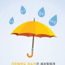 새하늘용인대태권도 이미지