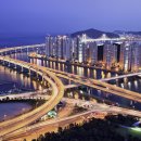 해운대물고기 이미지